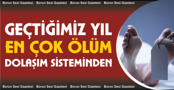 2018 Yılında En Çok Ölüm Dolaşım Sistemlerinden Kaynaklanıyor