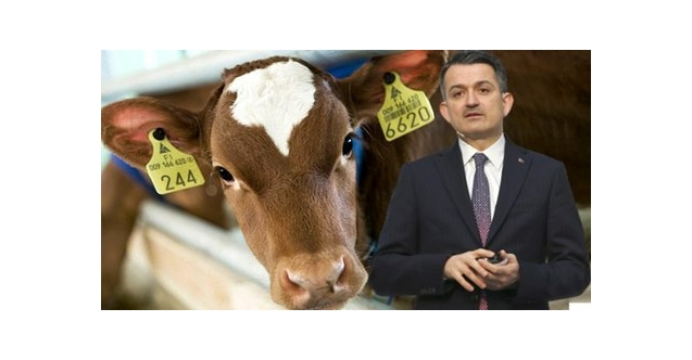 BESİ ORGANİZE SANAYİ BÖLGESİ BOR'A DEĞER KATACAK
