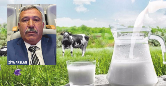 SÜT FİYATI 7 LİRA OLSUN