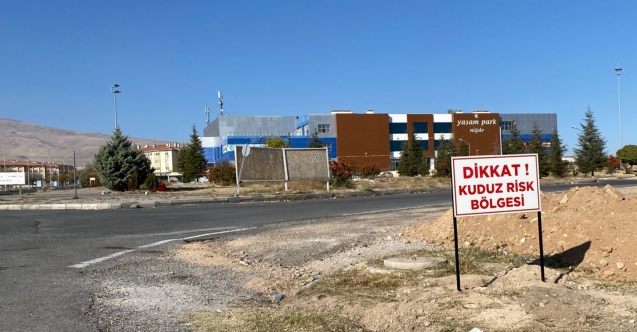 BOR'DA KUDUZ PANİĞİ!