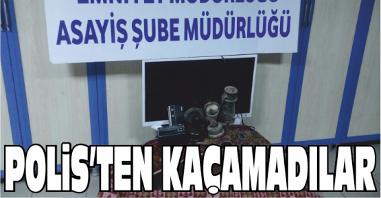 Bağ Evi Fareleri Yakalandı