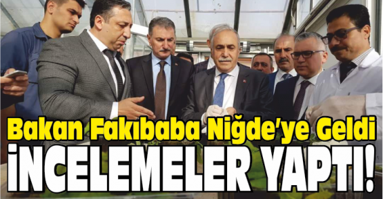 Bakan Fakıbaba: 15 Ülkeye Patates Tohumu İhraç Edeceğiz