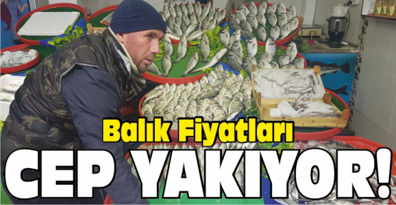 İstanbul Balık Fiyatları Cep Yakıyor
