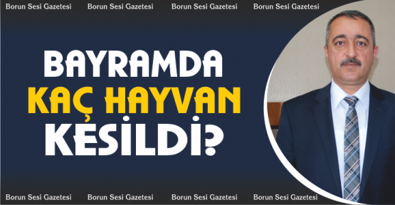 Bayramda 20 Bin Kurbanlık Hayvan Kesildi