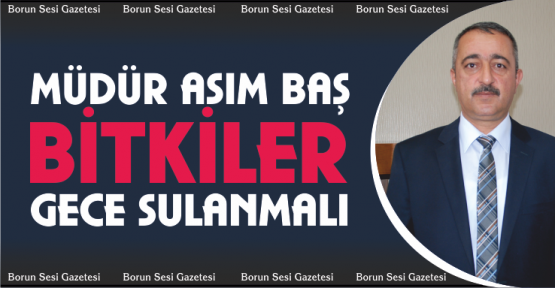 Bitkiler gece sulanmalı