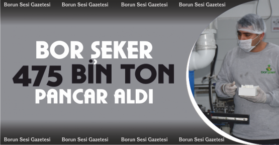 Bor Şeker 475 Bin Ton Şeker Pancarı Alımı Yapıldı
