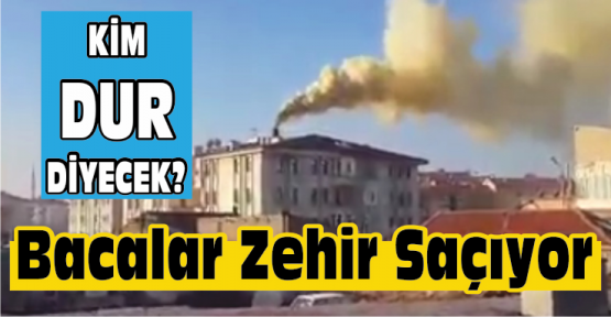 Denetlenmeyen Bacalar Zehir Saçıyor