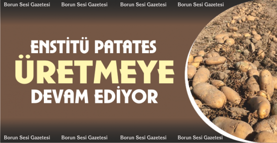 Enstitü üretmeye devam ediyor