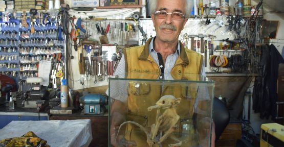 Esrarengiz İskelet 8 Yıldır Gizemini Koruyor