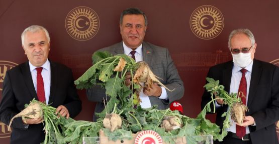 Gürer: “Çiftçinin Emeğini Çalmayın”