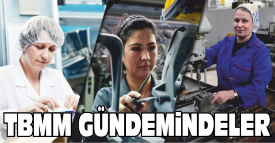 Gürer, Kadın İşçilerin Sorunlarını TBMM Gündemine Taşıdı