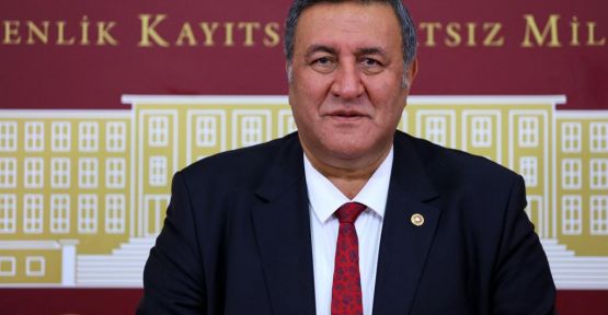 Gürer, Kaynarca Köyünün Sorununu TBMM'ye Taşıdı