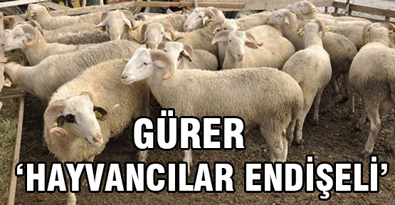 Gürer,