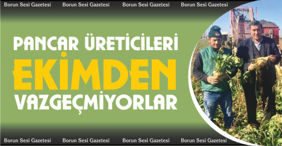 Gürer, Pancar Çiftçisi Ekimden Vazgeçiyor