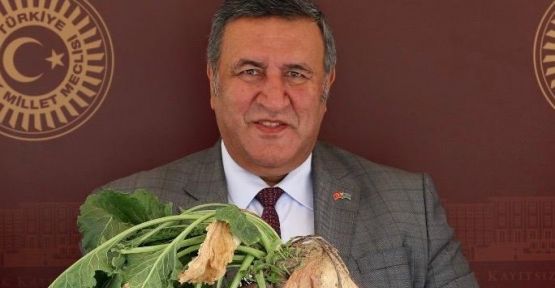 Gürer: “Pancar Çiftçisine Darbe”