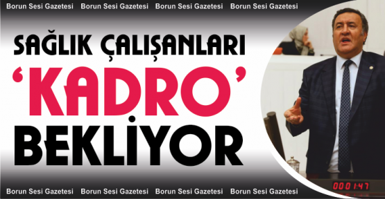 Gürer, Sağlık Çalışanları Kadro Bekliyor