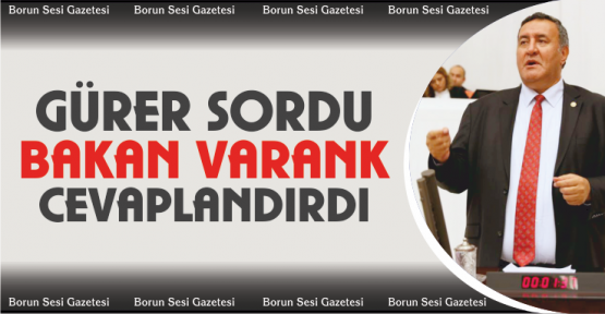 Gürer sordu, Bakan Varank yanıtladı
