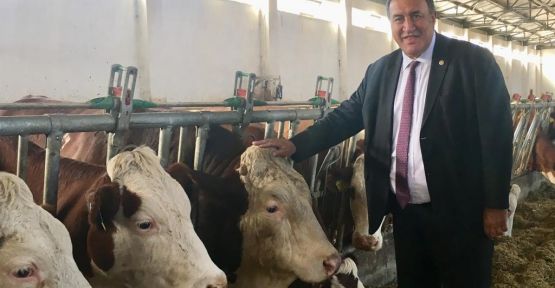 Gürer Sordu, Bakan Yanıtladı