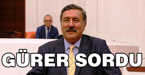 Gürer sordu, Başbakan Yardımcısı Canikli yanıtladı