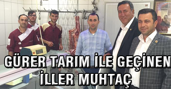 Gürer: