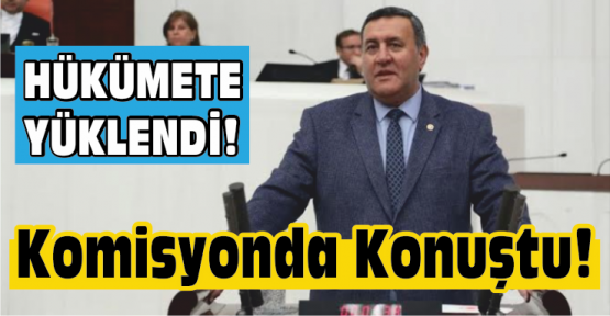 Gürer TBMM Anayasa Komisyonunda Konuştu