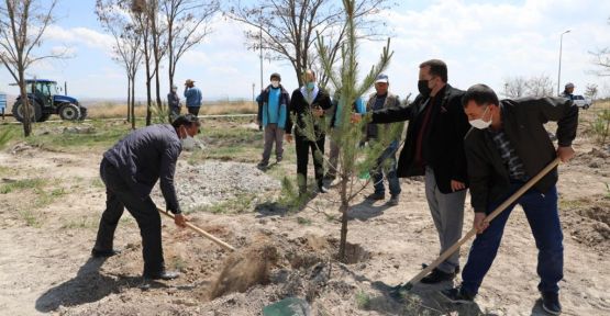 Hatıra ormanı desteklerle büyüyor
