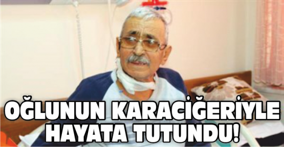 Hayata Tutundu