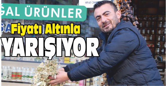 Ihlamur Fiyatları Altınla Yarışıyor