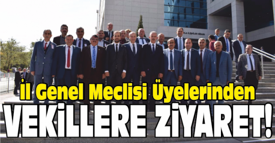 İl Genel Meclisinden Vekillere Ziyaret