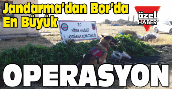 Jandarma'dan En Büyük Operasyon