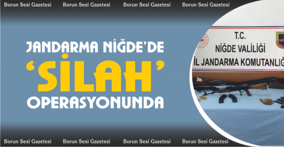 Jandarmadan silah operasyonu