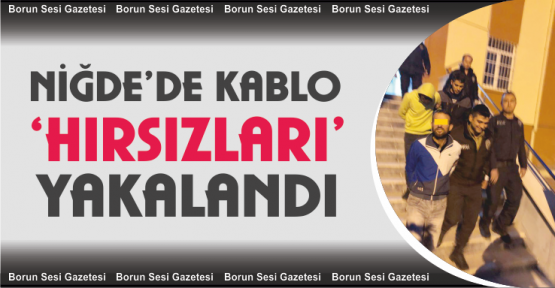 Kablo Hırsızları Tutuklandı