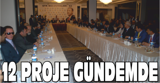 Katırcıoğlu STK Toplantısında 12 Projeyi Gündeme Getirdi