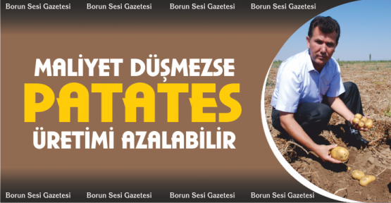 Kenar, Maliyet düşmezse patates üretimi azalabilir