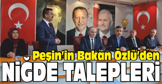 Mahmut Peşin’in, Bakan Özlü’den Niğde İçin Talepleri