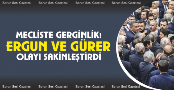 Mecliste Gerginliği Niğde Milletvekilleri Sakinleştirdi