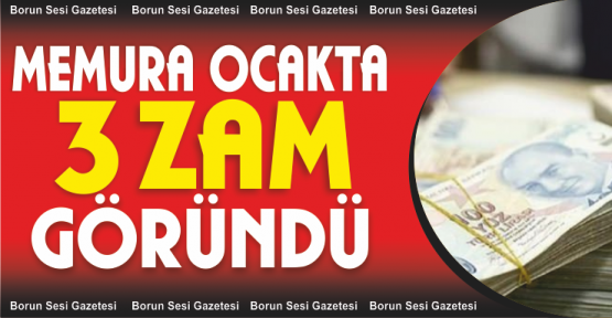 Memura 3 zam