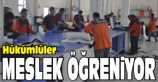 Hükümlüler Meslek Öğreniyor
