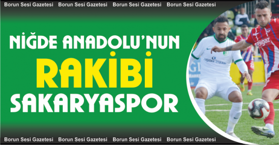 Niğde Anadolu FK, Sakaryaspor’la Pazar Günü Karşılaşacak