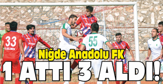 Niğde Bir Attı, Üç Aldı