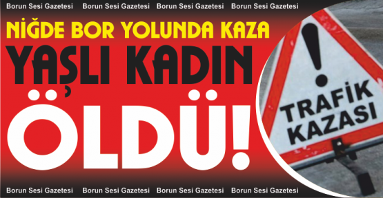 Niğde Bor Yolunda Kaza