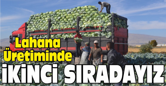 Niğde Lahana Üretiminde 2. Sırada
