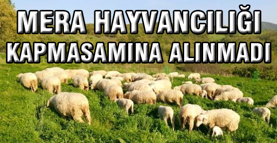 Niğde, Mera Hayvancılığı Yetiştirici Bölgeleri kapsamına alınmadı