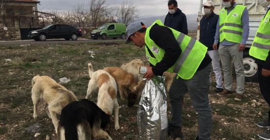 Niğde Sokak Hayvanlarına 5 Ton Mama Dağıtıldı