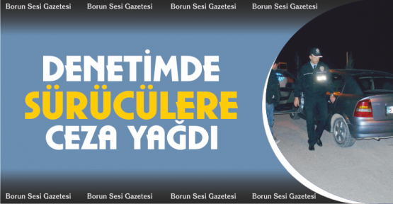 Niğde’de 31 Araç ve sürücüsüne 15 bin 428 TL ceza kesildi