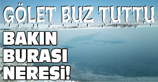 Niğde'de Bulunan Gölet Buz Tuttu
