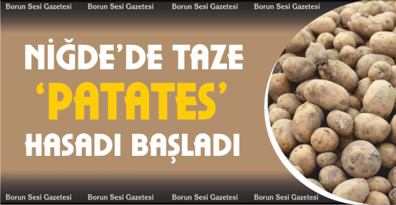 Niğde'de patates hasadı başladı