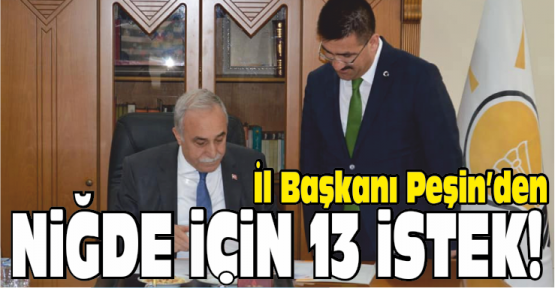 Peşin’in Bakandan Niğde İçin 13 İsteği