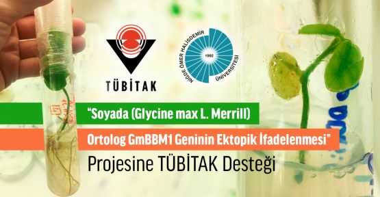 “Soyada Geninin Ektopik İfadelenmesi” projesine TÜBİTAK desteği