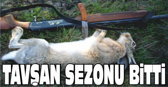 Tavşan Avı Sezonu Sona Erdi